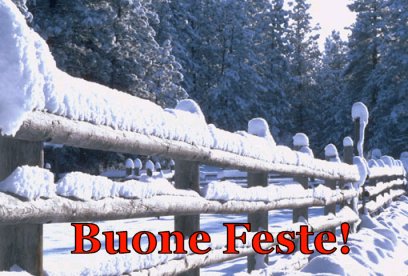 Immagine selezionata