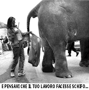 Immagine selezionata