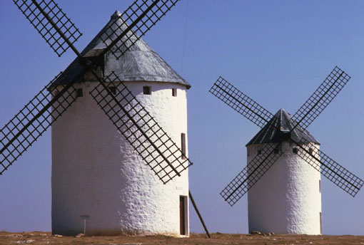 Immagine selezionata